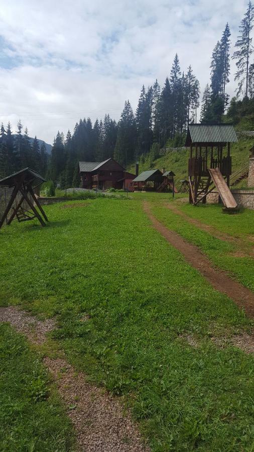 Pensiunea Cerbul Лаку Рошу Экстерьер фото